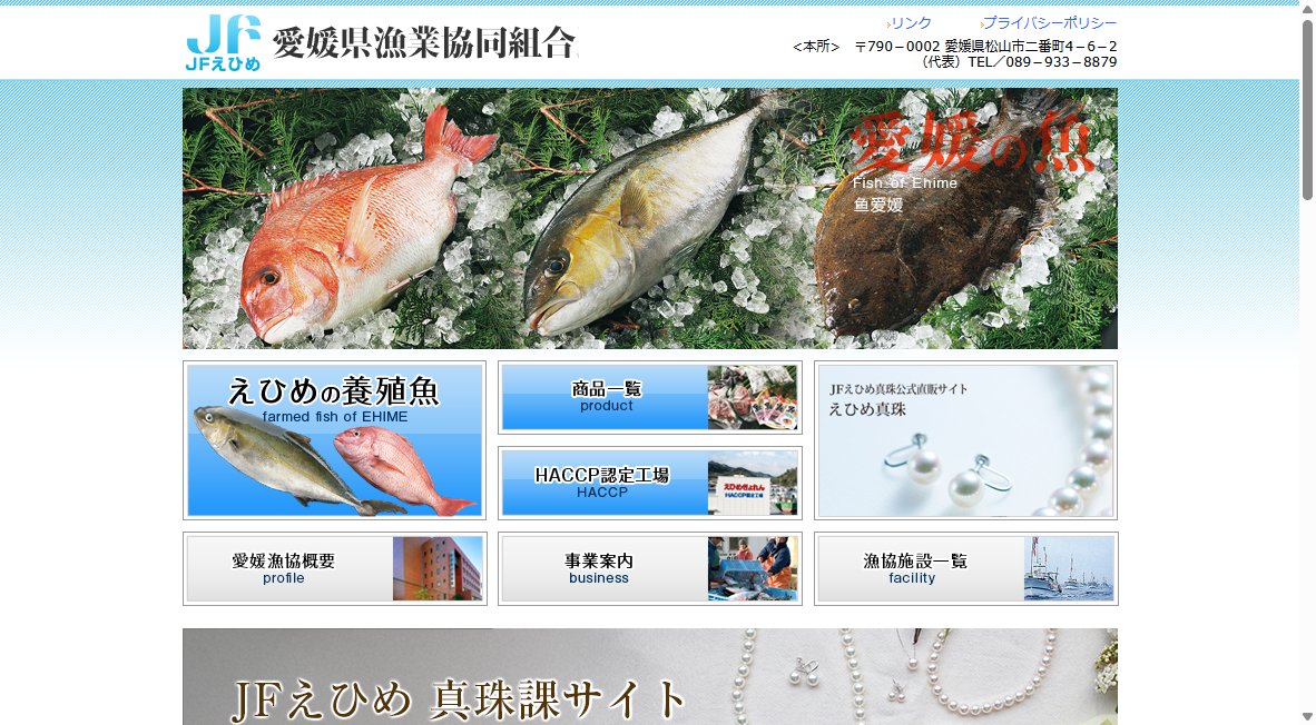 開催中 販売会 JFえひめパールフェア2026