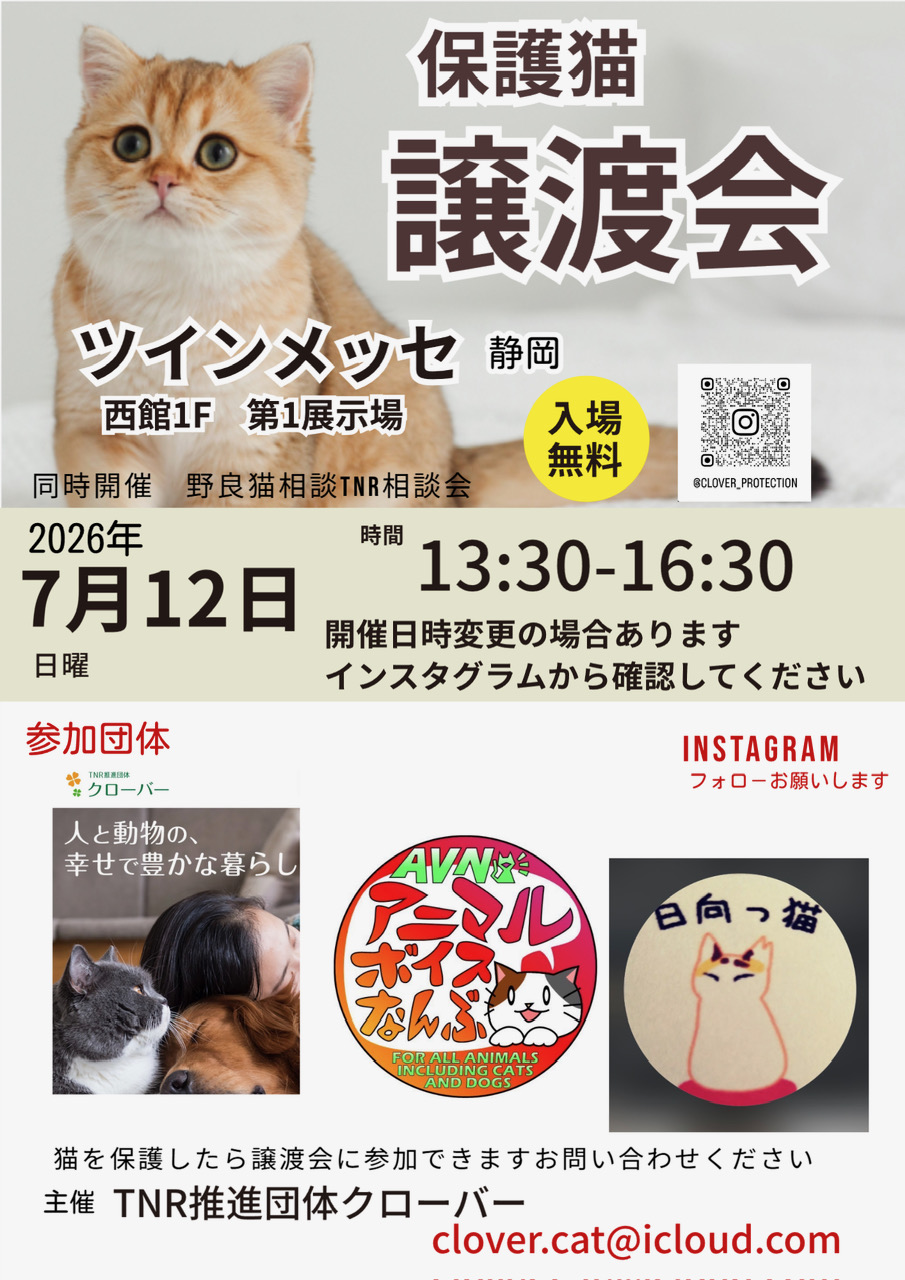 保護猫譲渡会・野良猫相談会